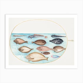 Sole And Other Flatfish With Bandfish (1575–1580), Joris Hoefnagel Art Print