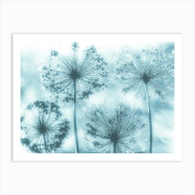 Teal white alliums Art Print