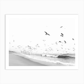 Seascape And Birds 1 Art Print
