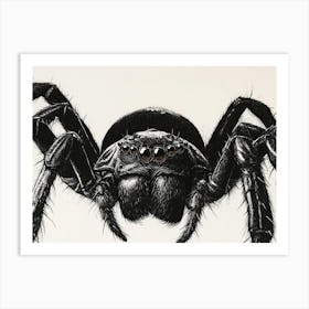 Black Widow Spider 1 Art Print