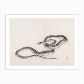 Snake, Kōno Bairei Art Print