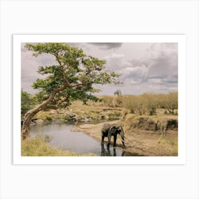 Elephant's Water Break in Kenya Art Print