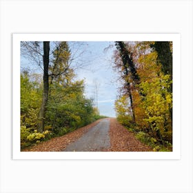 Autumn Road 16 Art Print