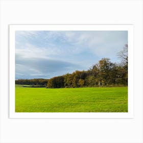 Field With Trees 6 Art Print