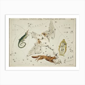 Sidney Hall’s (1831), Astronomical Chart Illustration Of The Lacerta, Cygnus, Lyra, Vulpecula And The Anser Art Print