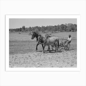 Untitled Photo, Possibly Related To Faro Caudill Planting Beans, Pie Town, New Mexico By Russell Lee Art Print