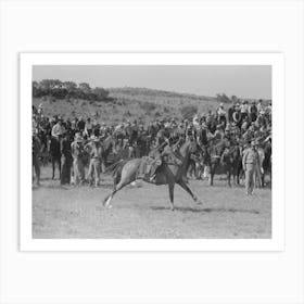 Untitled Photo, Possibly Related To Cowboys Driving Cows Down Rodeo Grounds, Bean Day, Wagon Mound 1 Art Print