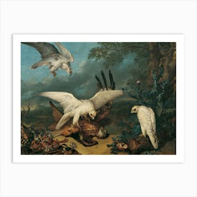 Vintage Hawks In Flight Art Print