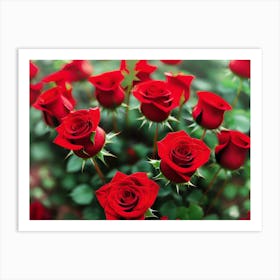 Red Roses 1 Art Print