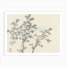 Bamboo Tree Art Print