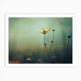 Nostalgic Nature No 8 Art Print