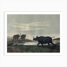 Vintage Kolb 5 Tafel 33 Nashorn Art Print