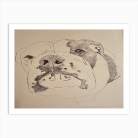 Clyde the Bulldog Art Print