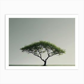 Lone Tree 2 Art Print