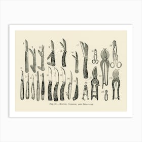 Vintage Illustration Of Knives, Scissors, Secateurs, John Wright Art Print