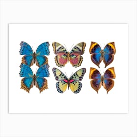 Collection Of Six Butterflies Blue Art Print