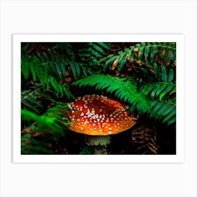 Mushroom Covered With Ferns Art Print