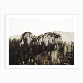 Forest Surrounding Hill Art Print