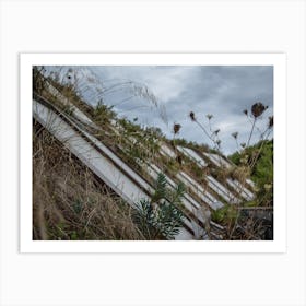 Building With Grass And Vegetation Along Balconies On Cold Winter Day Art Print