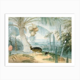 A Landscape in Ceylon with Barking Deer and Fawn and a Pair of Paradise Fly-Catchers by Samuel Daniell (1808-1811) Art Print