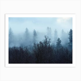 Pacific Northwest Forest - PNW Nature Art Print