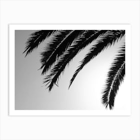 Palm Tree Art Print