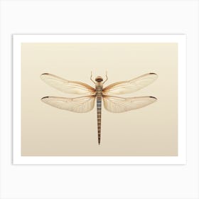Dragonfly Common Whitetail Plathemis Illustration Vintage Simple Jpeg Art Print