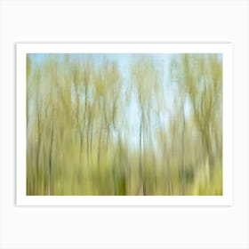 Tree Reflections Abstract Spring Landscape Art Print