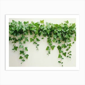 Ivy Leafs Art Print