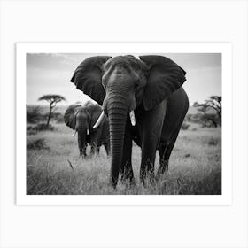 Two Elephants In The Grass Art Print