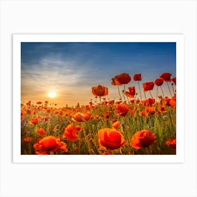 Poppies In The Sunset Art Print