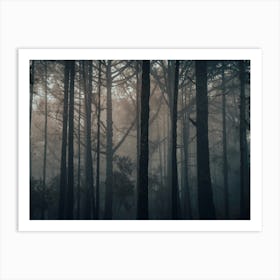 Dark Forest Poster