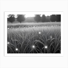 A Black And White Photo Of A Field Of Grass With Dew Drops On The Blades Art Print