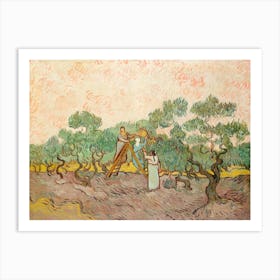 Women Picking Olives (1889), Vincent Van Gogh Art Print
