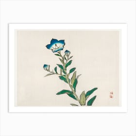 Morning Glory, Kōno Bairei Art Print