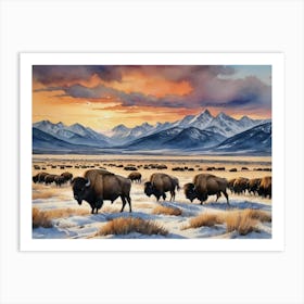 Bison Herd Winter Mountains Art Print