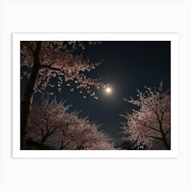 Cherry Blossoms At Night 3 Art Print