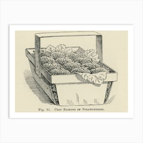 Vintage Illustration Of Chip Baskets, Strawberries, John Wright Art Print