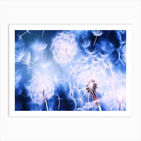 Dandelions In Flight - Dandelion Puffs Fly Away Art Print