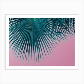 Palm leaves in front of a pink sky Art Print
