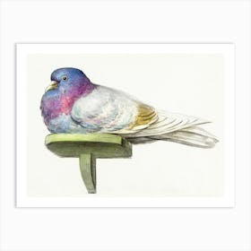Pigeon Sitting On A Shelf, Jean Bernard Art Print