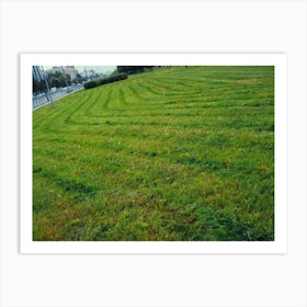 Green Grass In The City Art Print