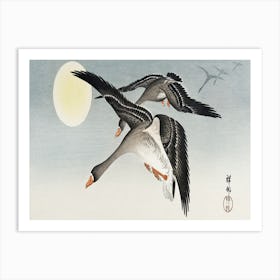 Birds At Full Moon (1900 1936), Ohara Koson Art Print