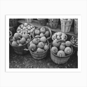 Pumpkins And Turnips Near Berlin, Connecticut By Russell Lee Art Print