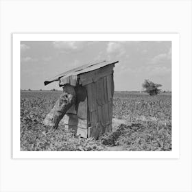 Privy Of Sharecropper, New Madrid County, Missouri By Russell Lee Art Print