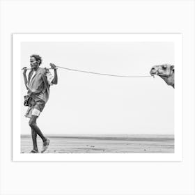 Camel Pulling A Man Art Print