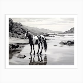 A Horse Oil Painting In Boulders Beach, South Africa, Landscape 4 Art Print