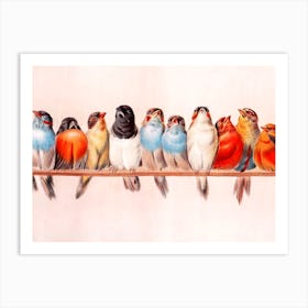 Birds Perching Vintage 19th Century Illustration Art Print