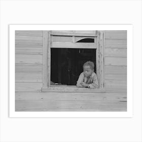 Son Of Sharecropper In Window Of Old Home, Southeast Missouri Farms By Russell Lee Art Print