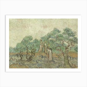 The Olive Orchard, By Vincent Van Gogh, 1889, Dutch Post Impressionist Painting, Oil On Canvas Art Print